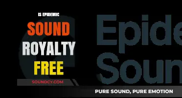 Is Epidemic Sound Truly Royalty-Free? A Comprehensive Guide
