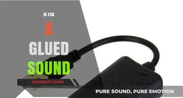 Is 'Ess' a Glued Sound? Exploring Phonetic Fusion in Language