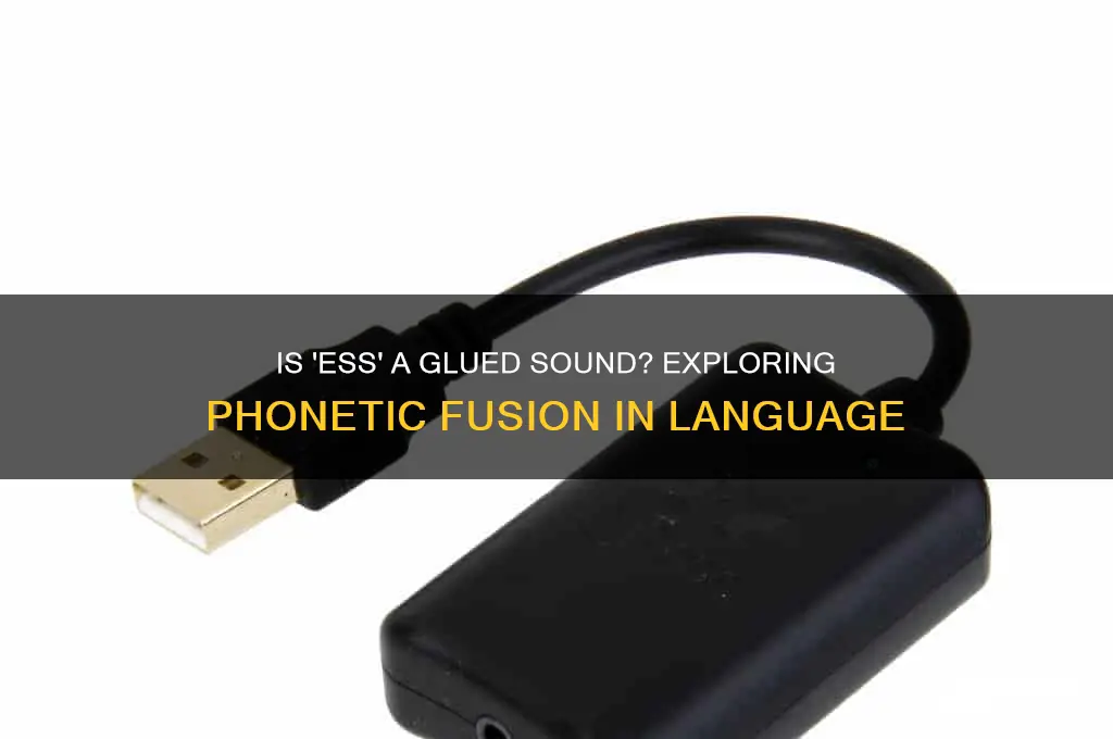 is ess a glued sound