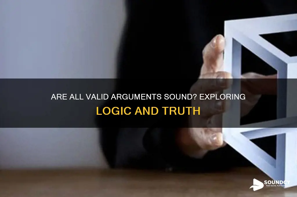 is every valid argument sound