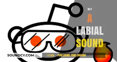Is the Sound /f/ Labial? Exploring Phonetics and Articulation