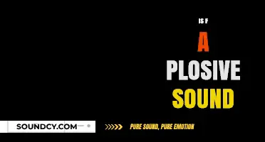 Is the Sound /f/ a Plosive? Exploring Phonetics and Articulation