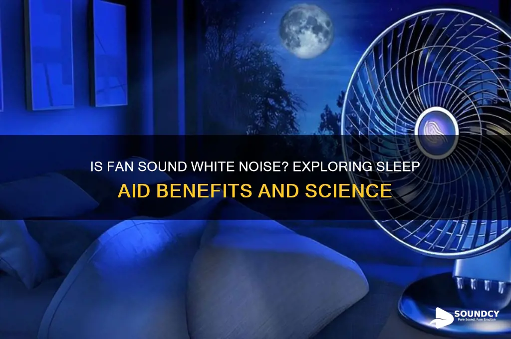 is fan sound white noise