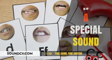Exploring the Unique Phonetic Qualities of the 'FF' Sound in Language