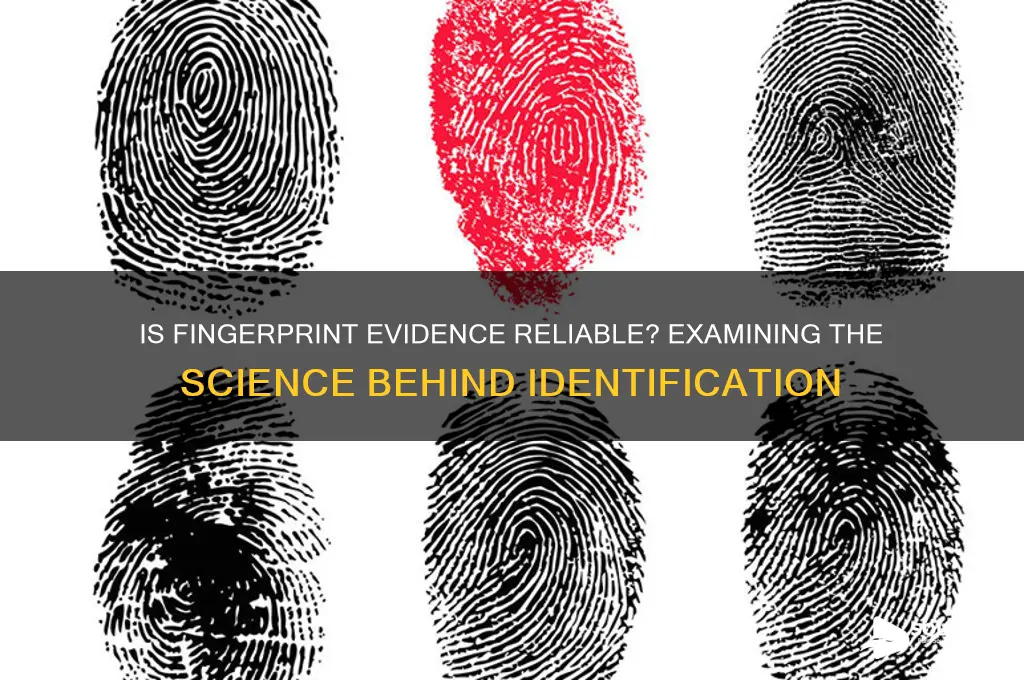 is fingerprint evidence sound science