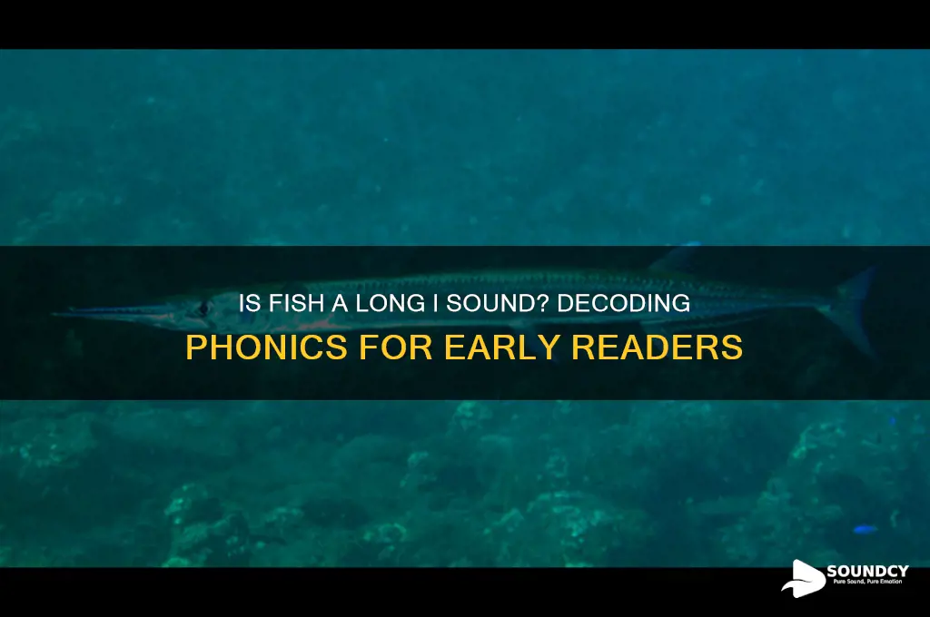 is fish long i sound