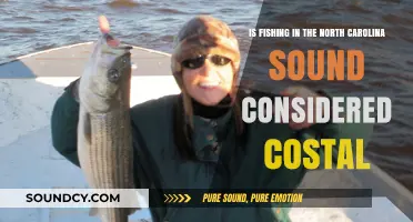 Exploring the Coastal Classification of Fishing in North Carolina Sound