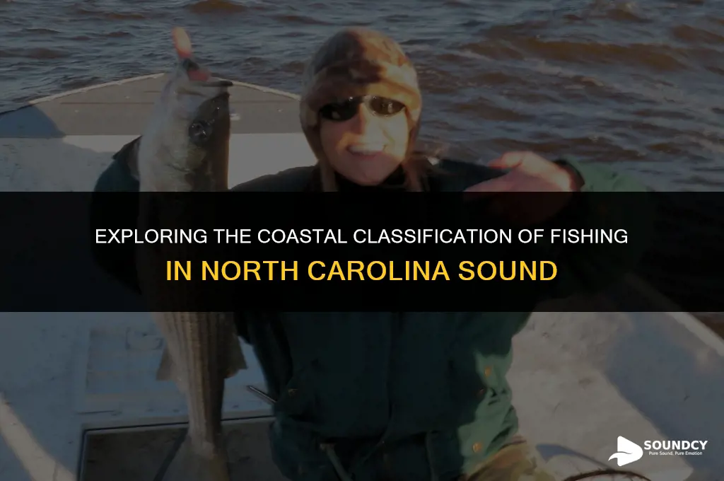 is fishing in the north carolina sound considered costal