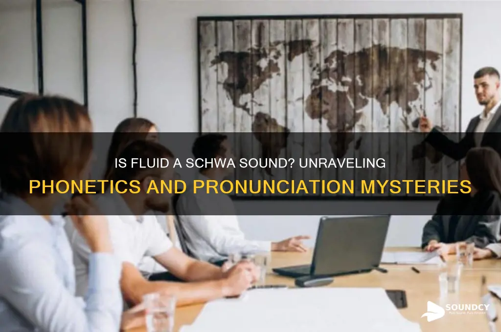 is fluid a schwa sound