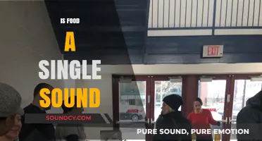 Is Food a Single Sound? Exploring the Auditory Nature of Eating