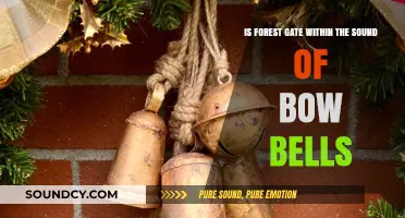 Exploring Forest Gate: A Journey Within Bow Bells' Resonance