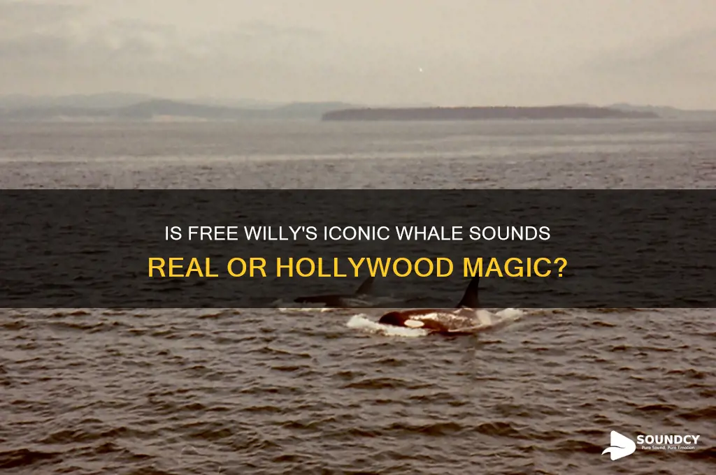 is free willy sound real