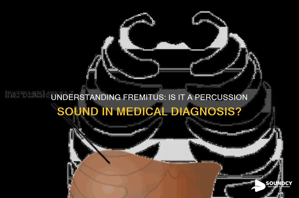 is fremitus a percussion sound