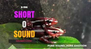 Is Frog a Short O Sound? Decoding Phonics for Early Readers