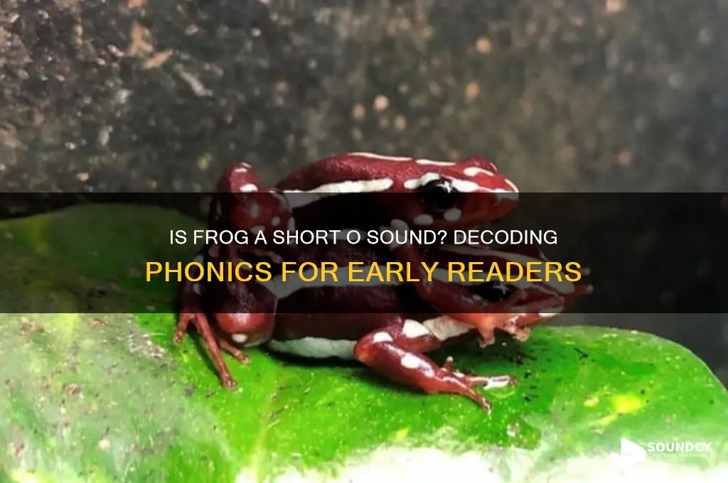 is frog short o sound