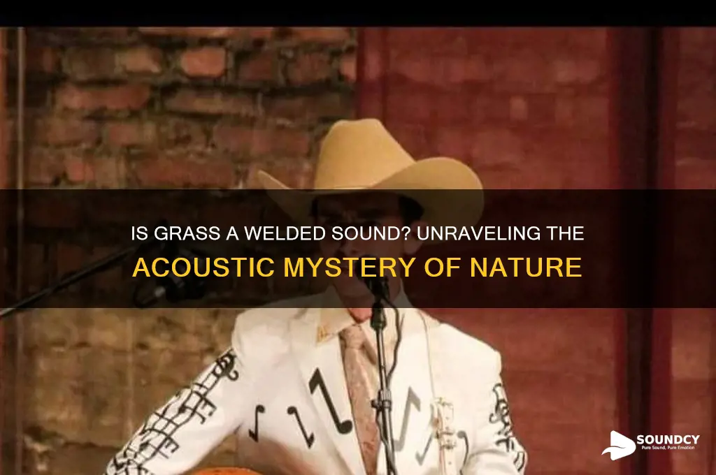is grass a welded sound