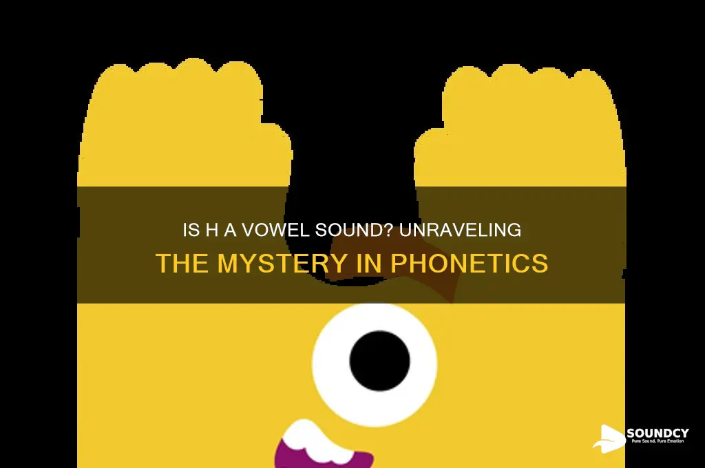 is h a vowel sound