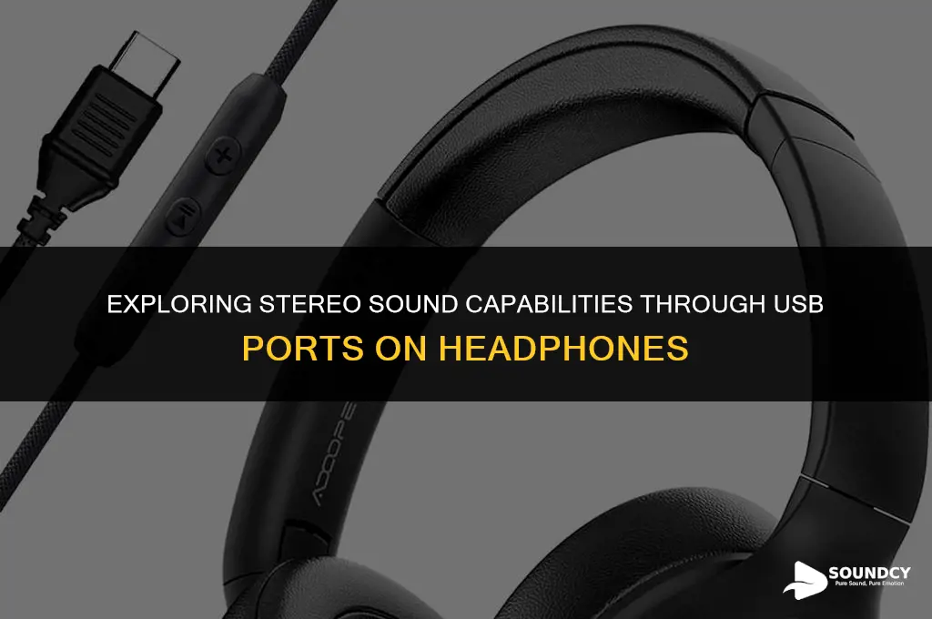is headphones capable of stereo sound with usb port