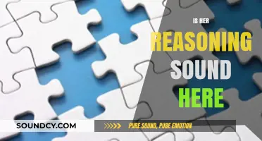 Is Her Reasoning Sound? Analyzing Logic and Validity in Her Argument