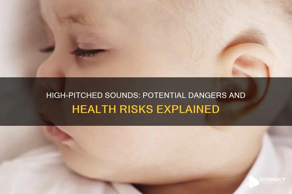 is high pitch sound dangerous