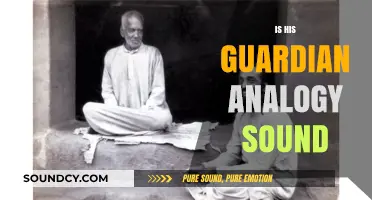 Is His Guardian Analogy Sound? Analyzing the Logic and Implications
