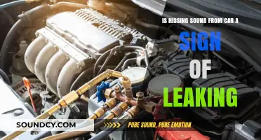 Hissing Sound from Your Car: A Potential Sign of a Leak