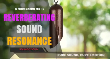 Chiming In: The Resonance and Reverberation of Sound