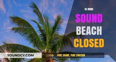 Is Hobe Sound Beach Closed? Current Status and Updates
