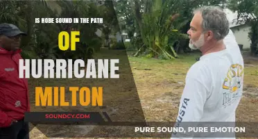 Hurricane Milton's Trajectory: Will Hobe Sound Be Impacted?