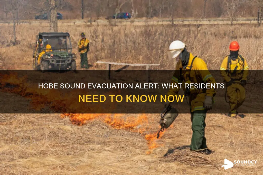 is hobe sound under evacuation