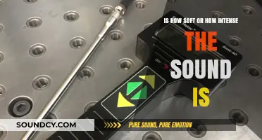 Exploring Sonic Dynamics: The Art of Sound Intensity