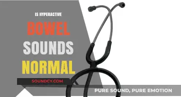 Are Hyperactive Bowel Sounds Normal? Understanding Your Digestive Noises
