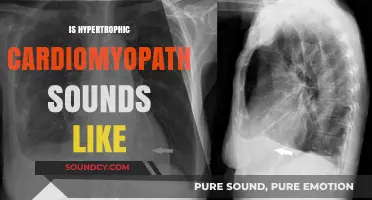 Understanding Hypertrophic Cardiomyopathy: Symptoms, Sounds, and Early Detection
