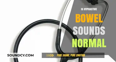 Understanding Hypoactive Bowel Sounds: Normal or Cause for Concern?