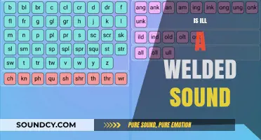 Is 'Ill' a Welded Sound? Exploring Phonetics and Linguistic Fusion