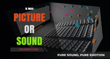 IMAX Experience: Decoding the Superiority of Picture vs. Sound Quality