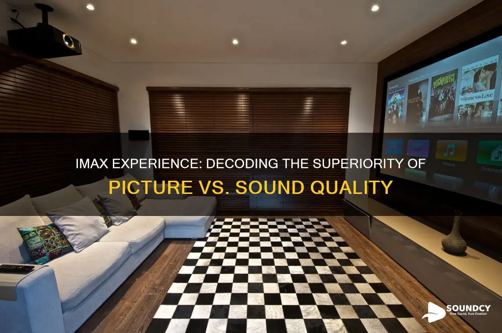 is imax picture or sound
