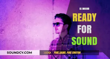 Is Imgur Ready for Sound? Exploring the Future of Multimedia Sharing