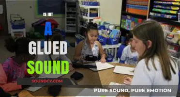 Is 'Int' a Glued Sound? Exploring Phonetic Fusion in Language