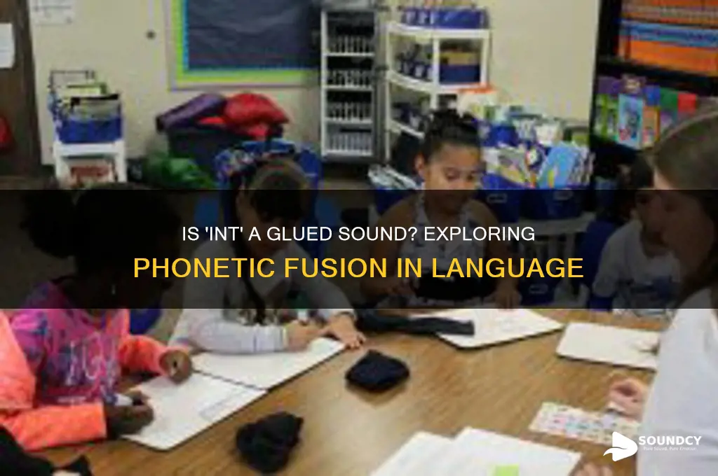 is int a glued sound