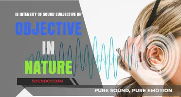 Decoding Sound Intensity: A Dive into Subjective vs. Objective Perception