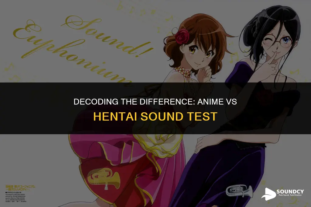 is it an anime or a hentai sound test