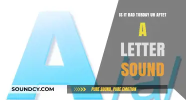 Exploring Phonics: The Impact of Letter Sounds on Reading Fluency