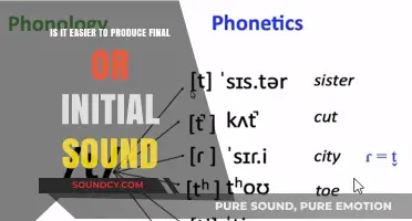 Exploring Phonetic Ease: Final vs. Initial Sounds in Language Production