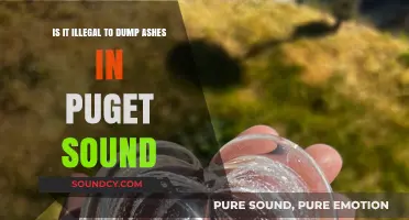 The Legalities of Scattering Ashes in Puget Sound: A Comprehensive Guide
