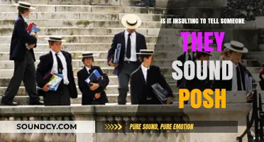 The Nuances of Accent: Is 'Posh' a Compliment or an Insult?