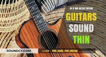 Exploring the Sonic Depths: Do Taylor Guitars Truly Sound Thin?
