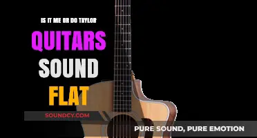 Exploring the Sonic Landscape: Do Taylor Guitars Truly Sound Flat?