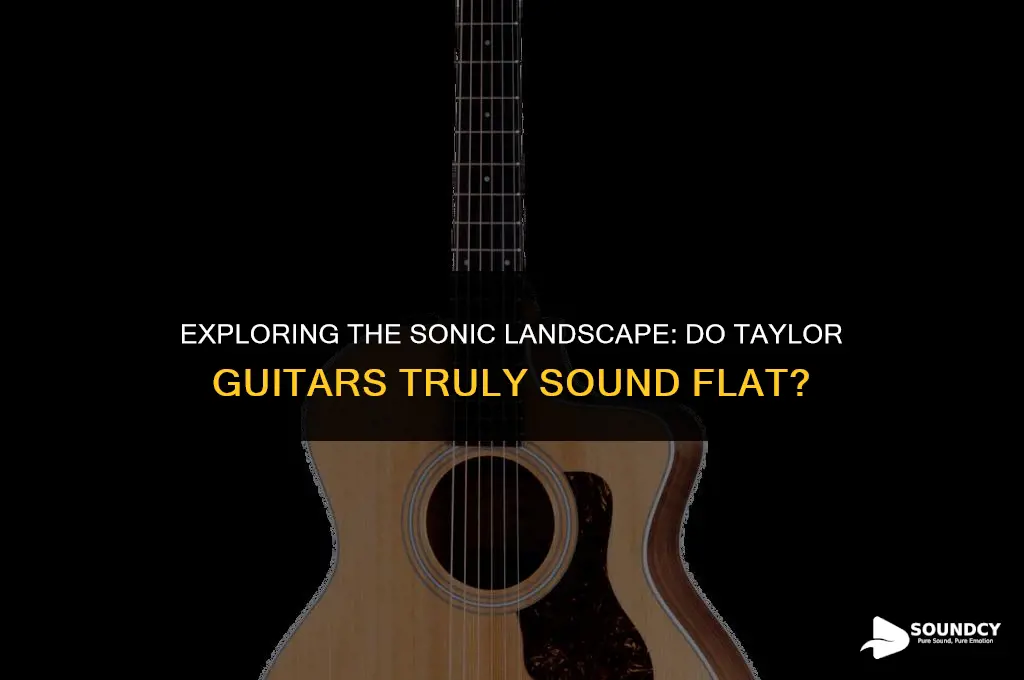 is it me or do taylor quitars sound flat