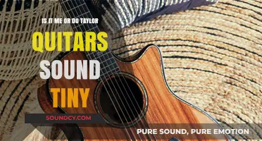Exploring the Sonic Landscape: Do Taylor Guitars Truly Sound Tiny?